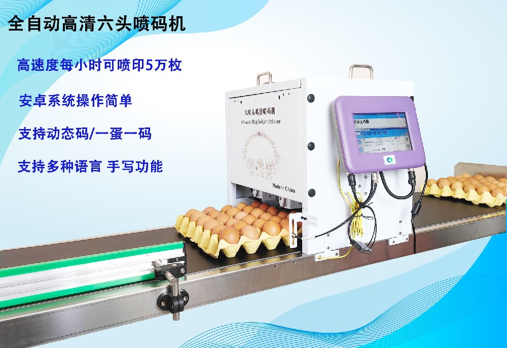 六頭高速雞蛋噴碼機(jī)